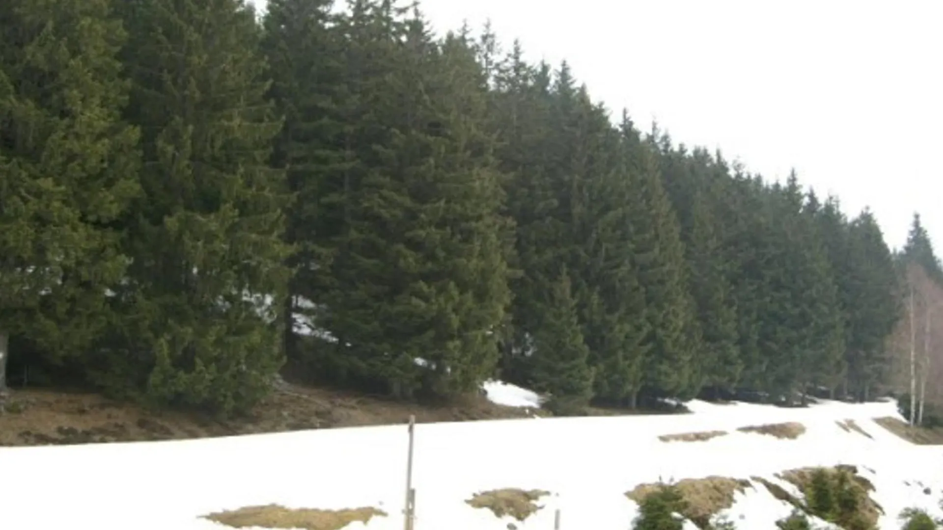 Apartment Charmant 2 Pieces Au Pied Des Pistes Avec Balcon Et Casier A Skis - Fr-1-557-78 Les Adrets